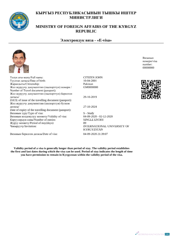 Download Kyrgystan e visa in Word and PDF template Photoshop template